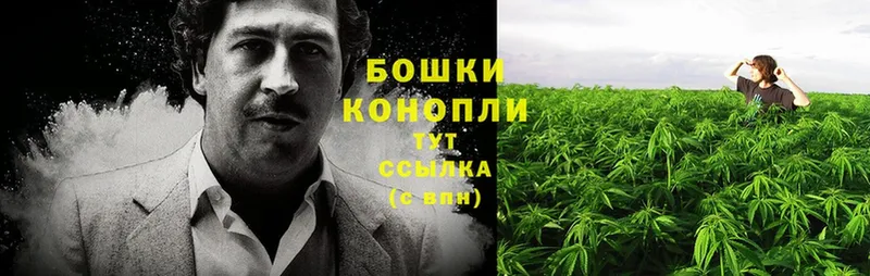 Марихуана THC 21%  где продают наркотики  Донской 